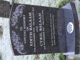 image of grave number 933329